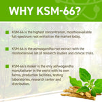 Load image into Gallery viewer, Applied Nutrition Ashwagandha KSM-66
