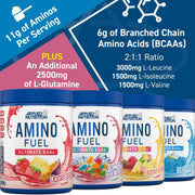 APPLIED NUTRITION Amino Fuel EAA