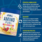 Load image into Gallery viewer, APPLIED NUTRITION Amino Fuel EAA