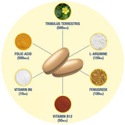 GAT Testrol Gold Es